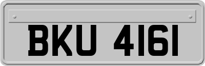 BKU4161