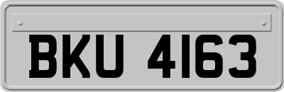 BKU4163
