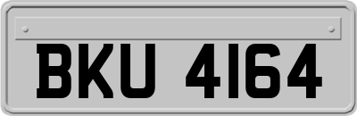 BKU4164