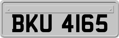 BKU4165
