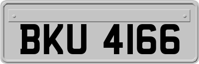 BKU4166