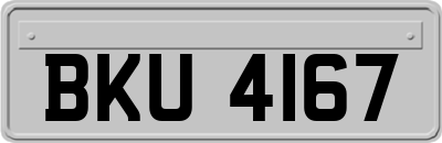 BKU4167
