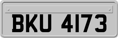 BKU4173