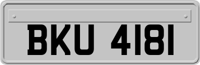 BKU4181