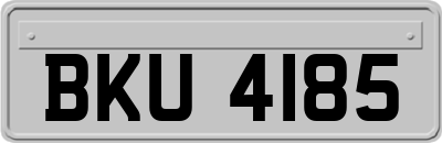 BKU4185