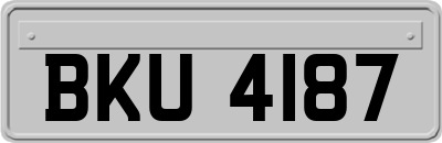 BKU4187