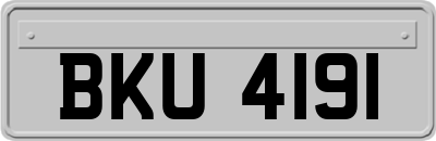 BKU4191