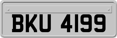 BKU4199