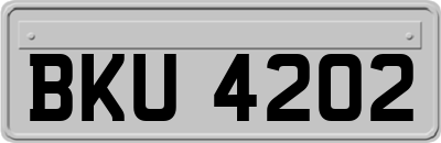 BKU4202