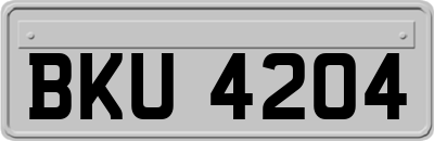 BKU4204