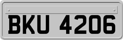 BKU4206