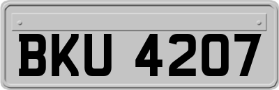 BKU4207