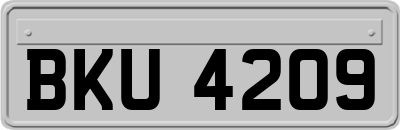 BKU4209