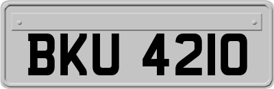 BKU4210