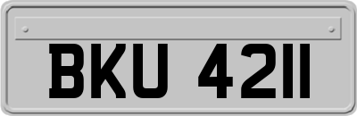 BKU4211