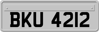 BKU4212
