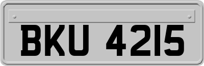 BKU4215