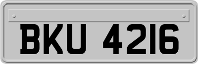 BKU4216