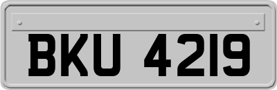 BKU4219