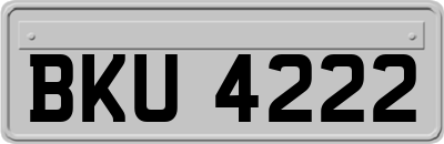 BKU4222