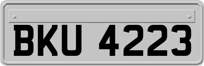 BKU4223