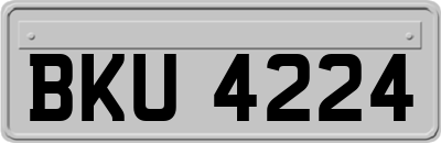 BKU4224