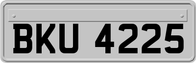 BKU4225