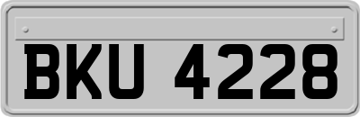 BKU4228
