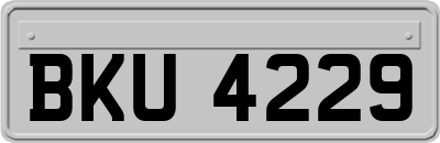 BKU4229