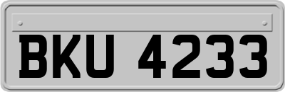 BKU4233
