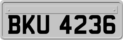 BKU4236