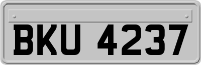BKU4237