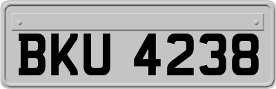 BKU4238