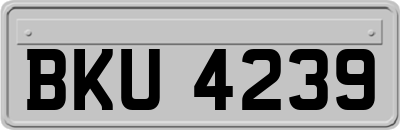 BKU4239