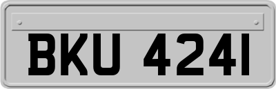 BKU4241