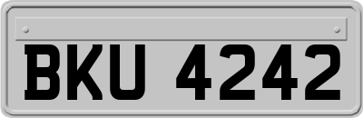 BKU4242