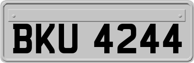 BKU4244