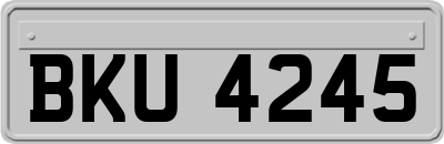 BKU4245