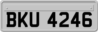 BKU4246