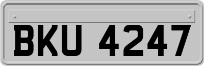 BKU4247