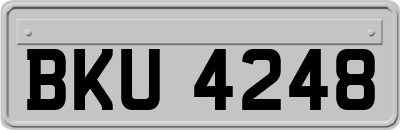 BKU4248