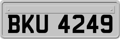 BKU4249