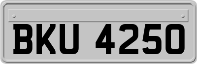 BKU4250