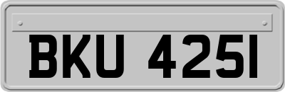 BKU4251