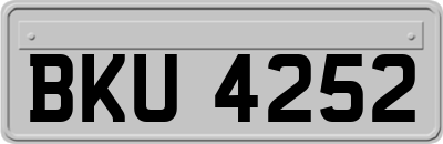 BKU4252