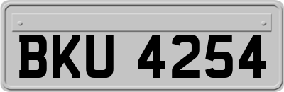 BKU4254