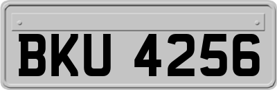 BKU4256