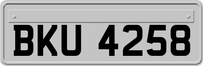 BKU4258