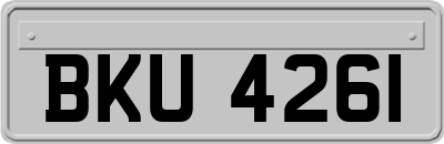 BKU4261
