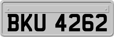 BKU4262